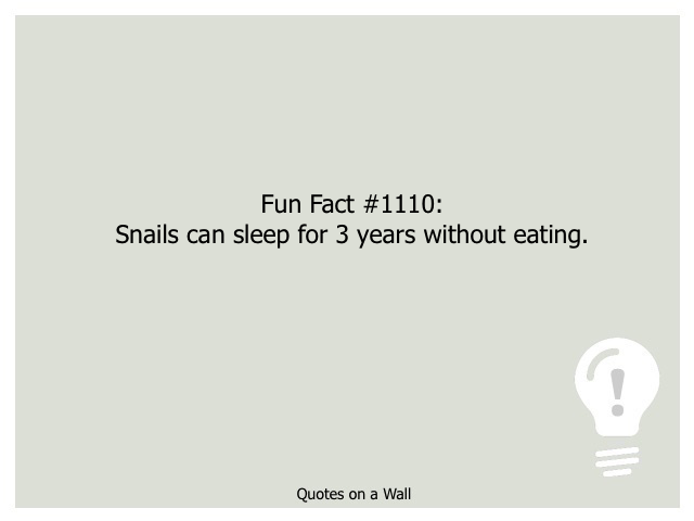 Fun Fact 1110