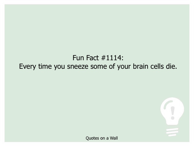 Fun Fact 1114