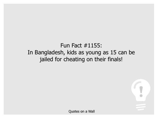 Fun Fact 1155