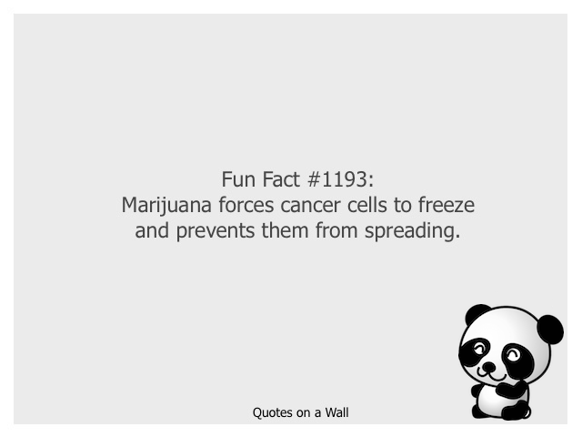 Fun Fact 1193.jpeg